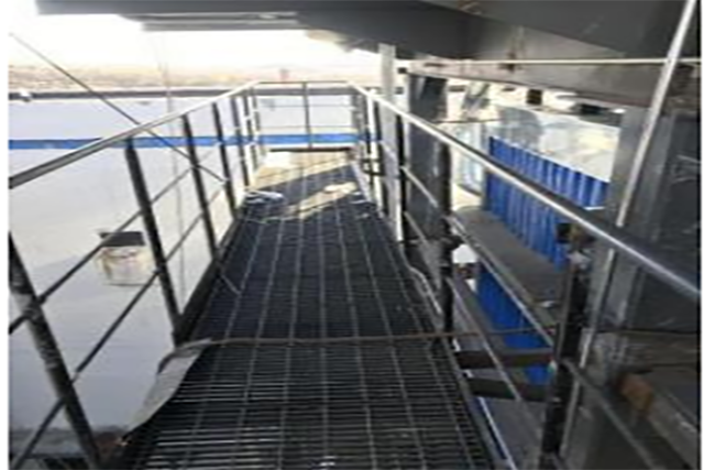 Platform escalator